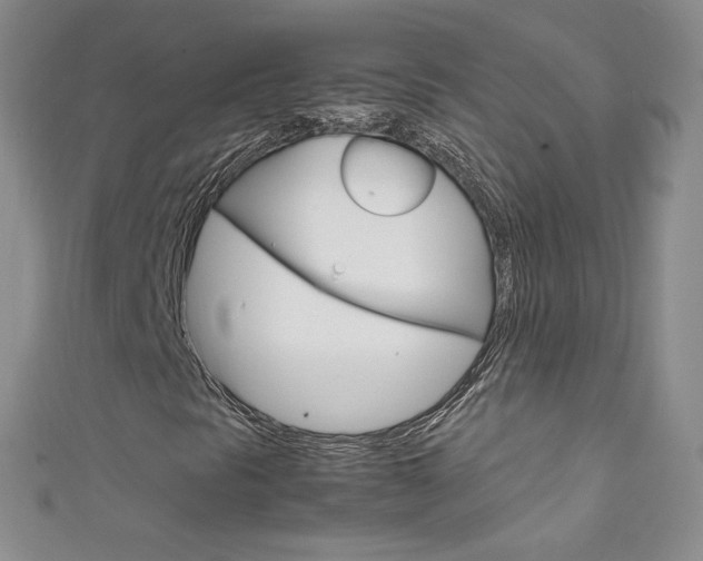 X0000111661297200907171111