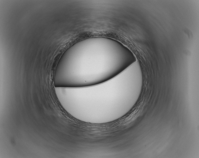 X0000111661300200907171111