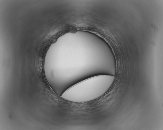 X0000111661301200907171111