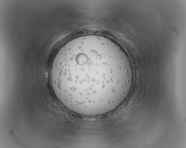 X0000111661302200907171111