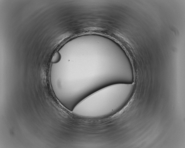 X0000111661305200907171111