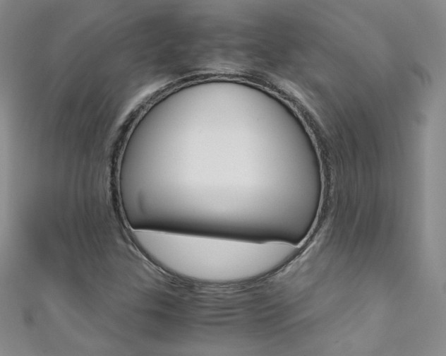 X0000111661307200907171111