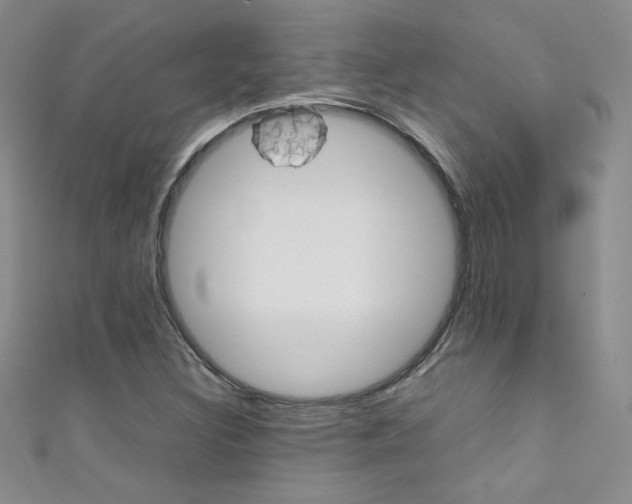 X0000111661308200907171111