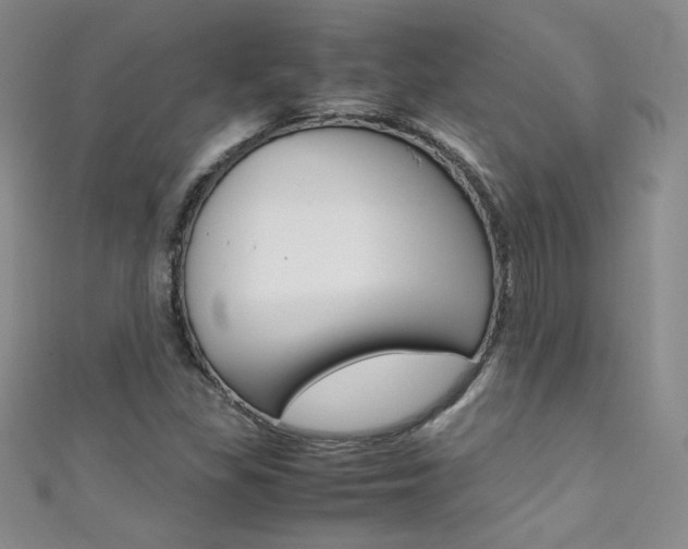 X0000111661309200907171111