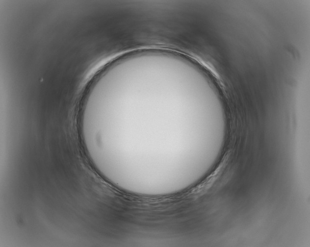 X0000111661311200907171111