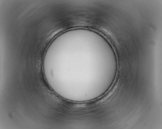 X0000111661313200907171111