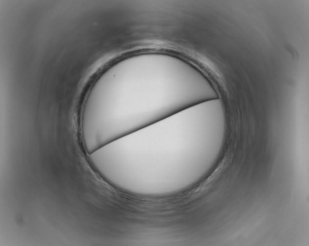 X0000111661318200907171111