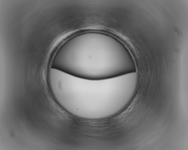 X0000111661319200907171111