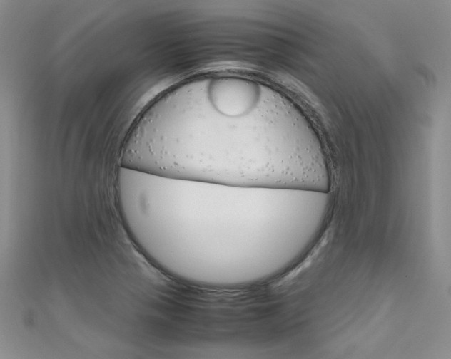 X0000111661321200907171111