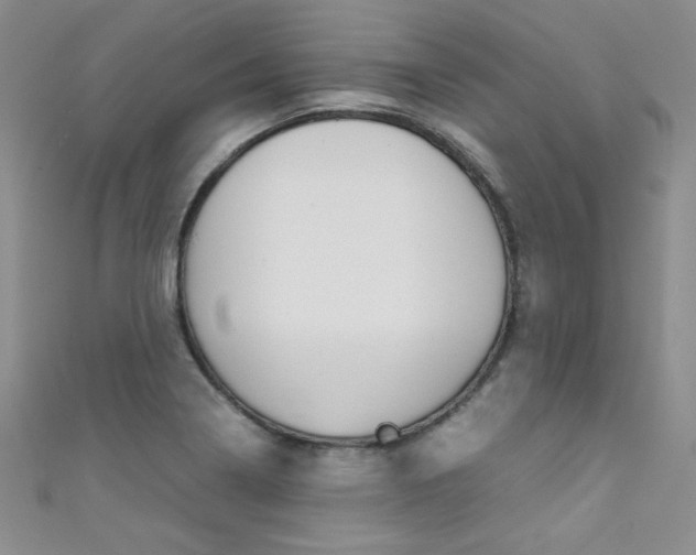 X0000111661322200907171111