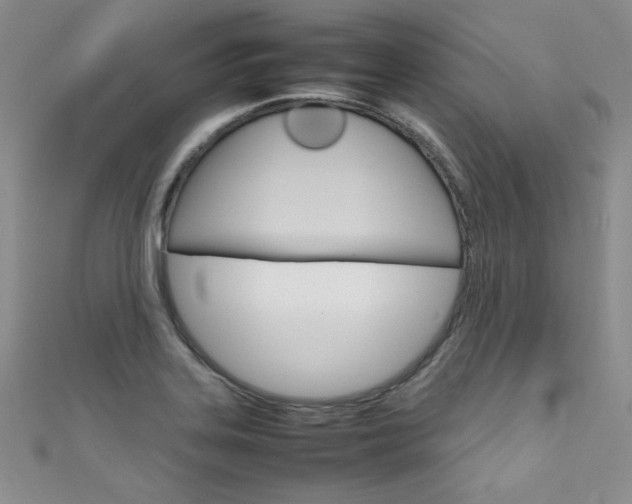 X0000111661323200907171111