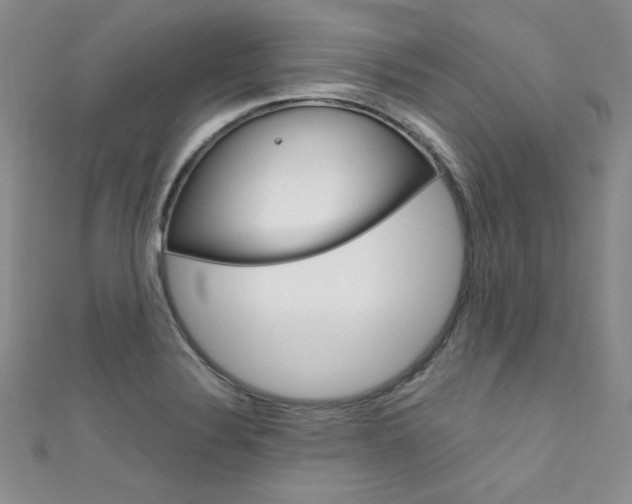 X0000111661324200907171111
