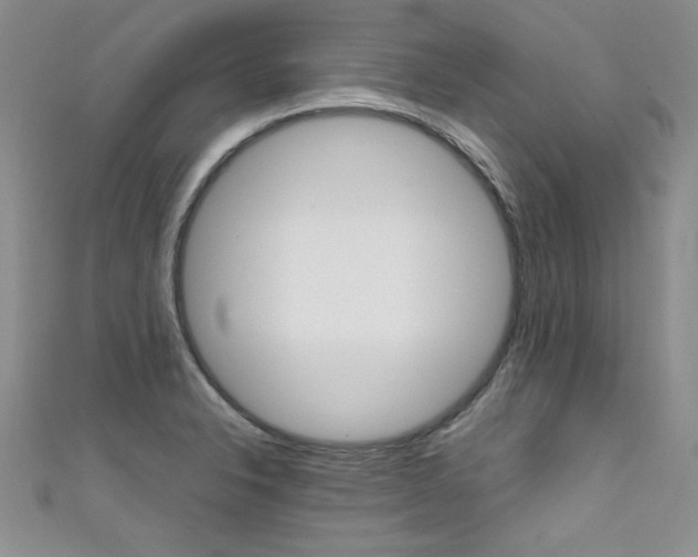 X0000111661326200907171111