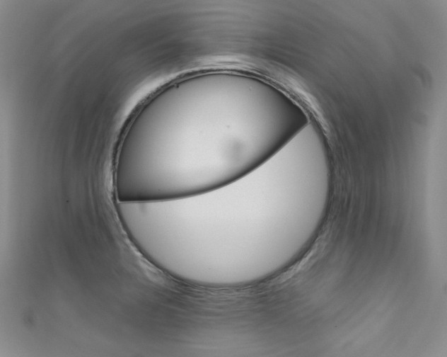 X0000111661328200907171111