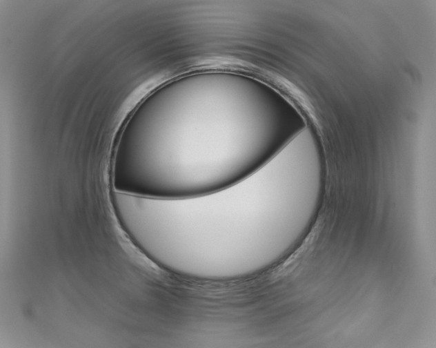 X0000111661330200907171111