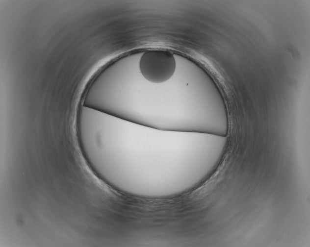 X0000111661331200907171111