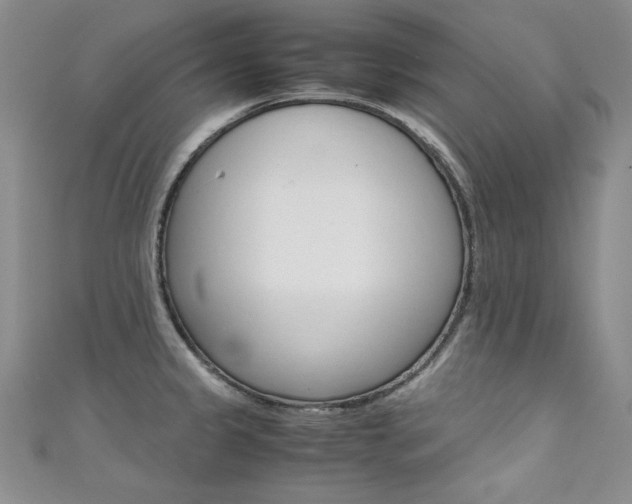 X0000111661333200907171111