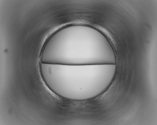 X0000111661335200907171111