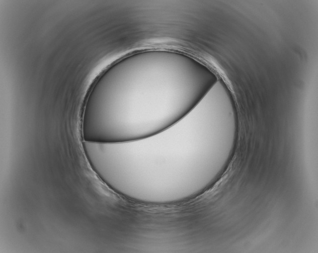X0000111661336200907171111