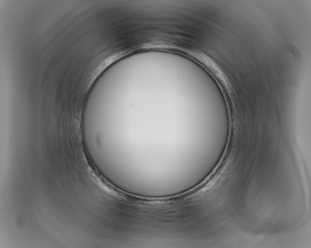 X0000111661337200907171111