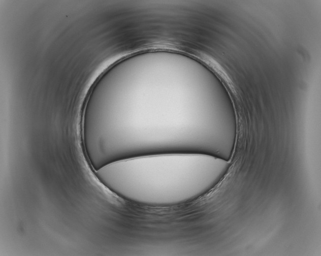 X0000111661339200907171112