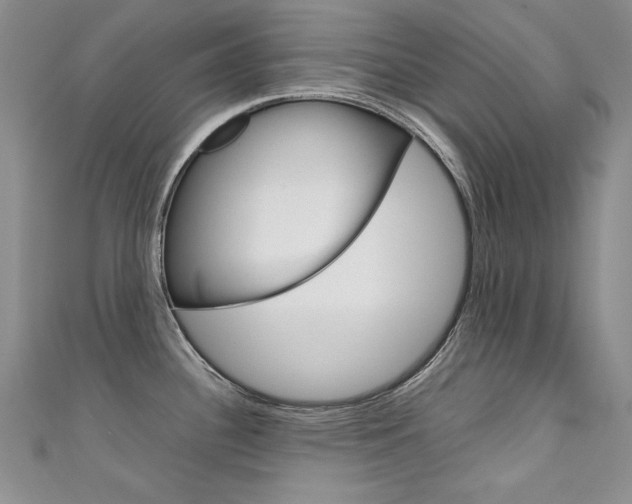 X0000111661340200907171112