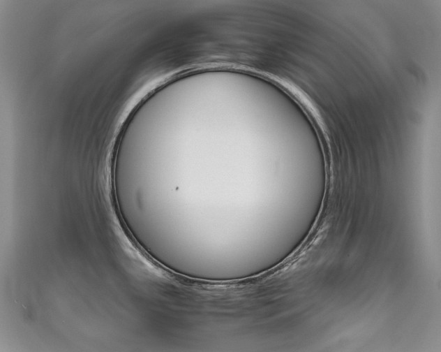 X0000111661341200907171112