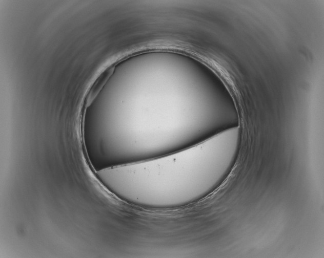 X0000111661342200907171112