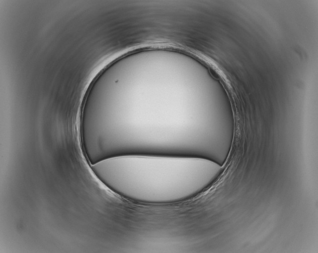X0000111661343200907171112