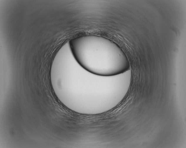X0000111661345200907171111