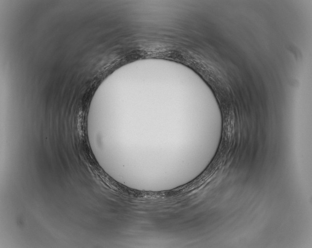 X0000111661346200907171111