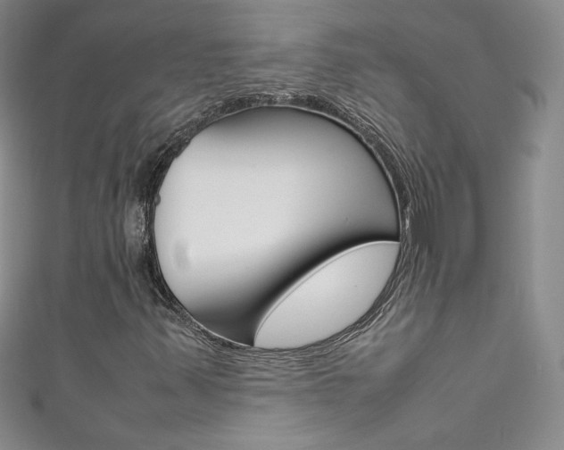X0000111661347200907171111