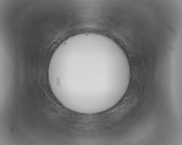 X0000111661349200907171111