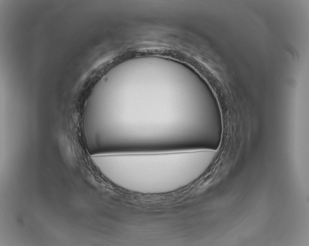 X0000111661351200907171111