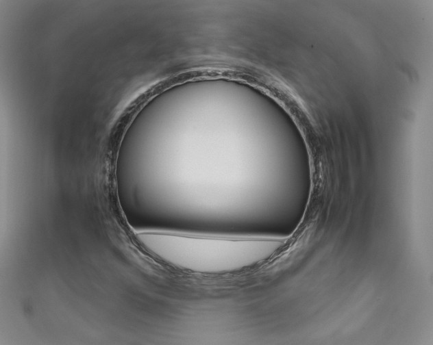 X0000111661352200907171111