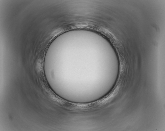 X0000111661353200907171111
