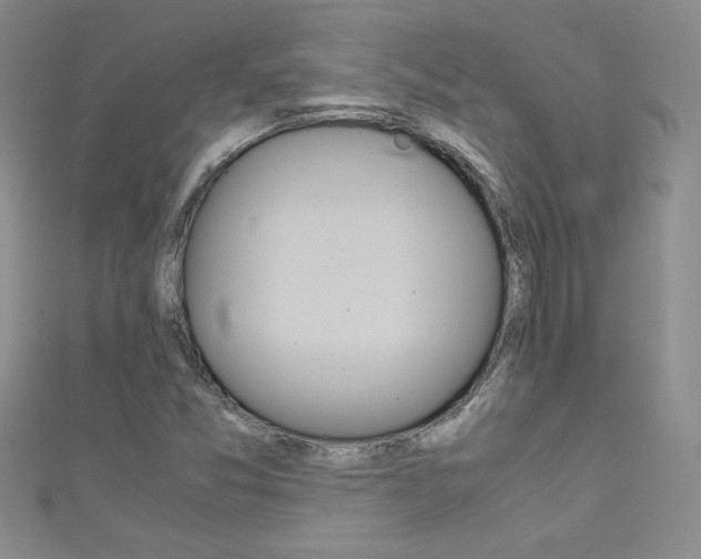 X0000111661357200907171111