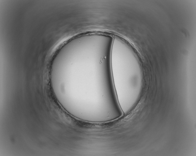X0000111661359200907171111