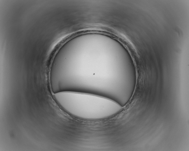 X0000111661360200907171111