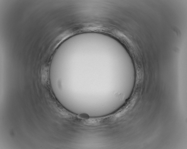 X0000111661361200907171111