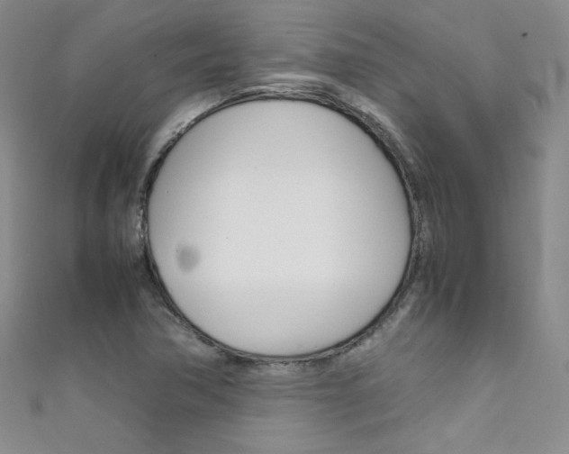 X0000111661362200907171111