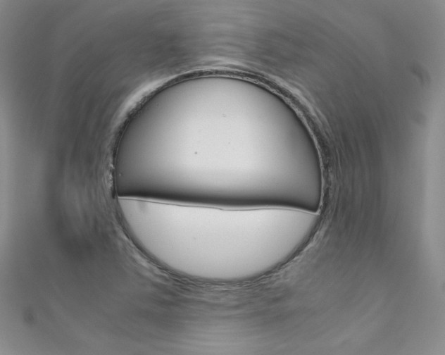X0000111661363200907171111