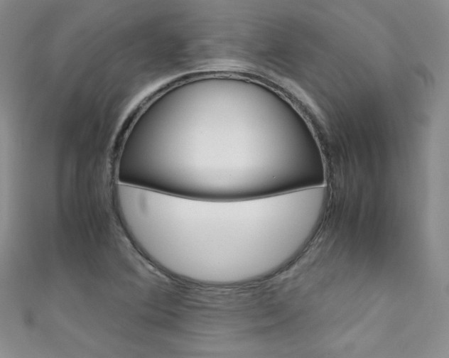 X0000111661364200907171111