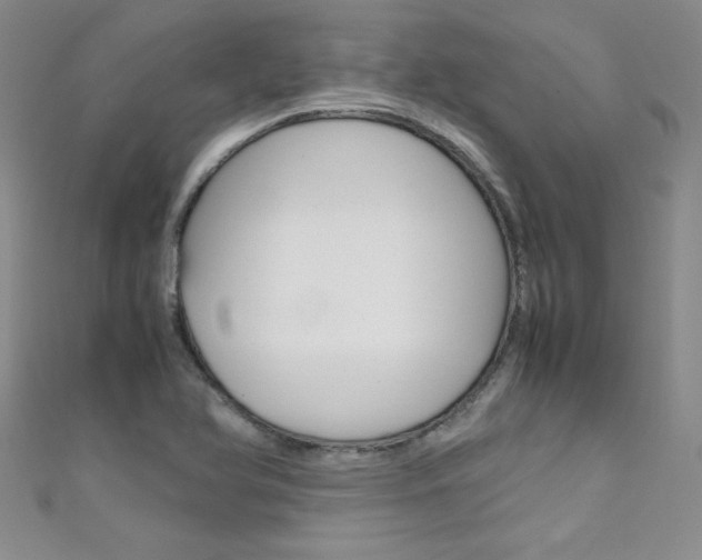 X0000111661366200907171111