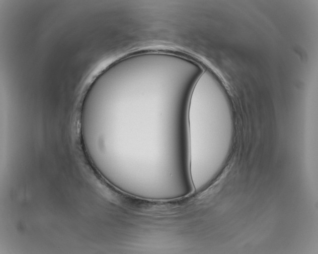 X0000111661367200907171111