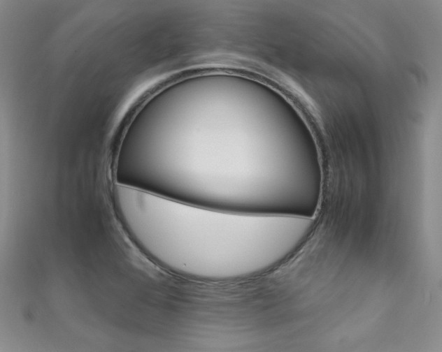 X0000111661368200907171111