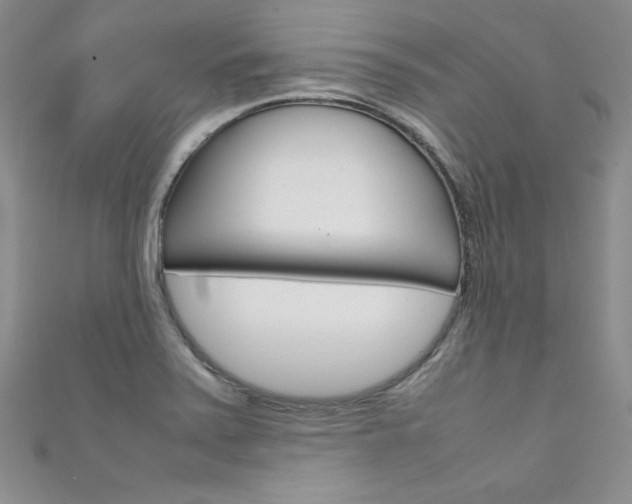 X0000111661371200907171111