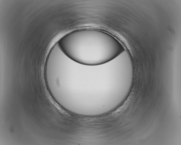 X0000111661373200907171111