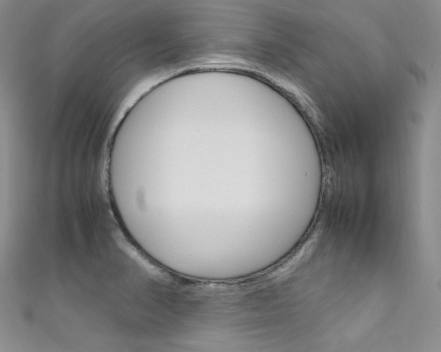 X0000111661374200907171111