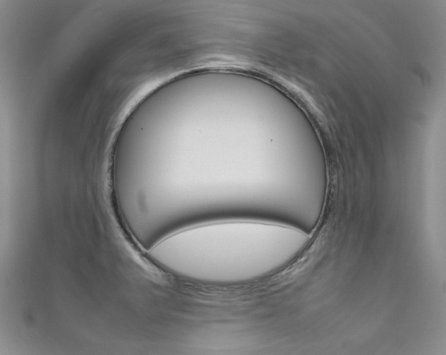 X0000111661375200907171111
